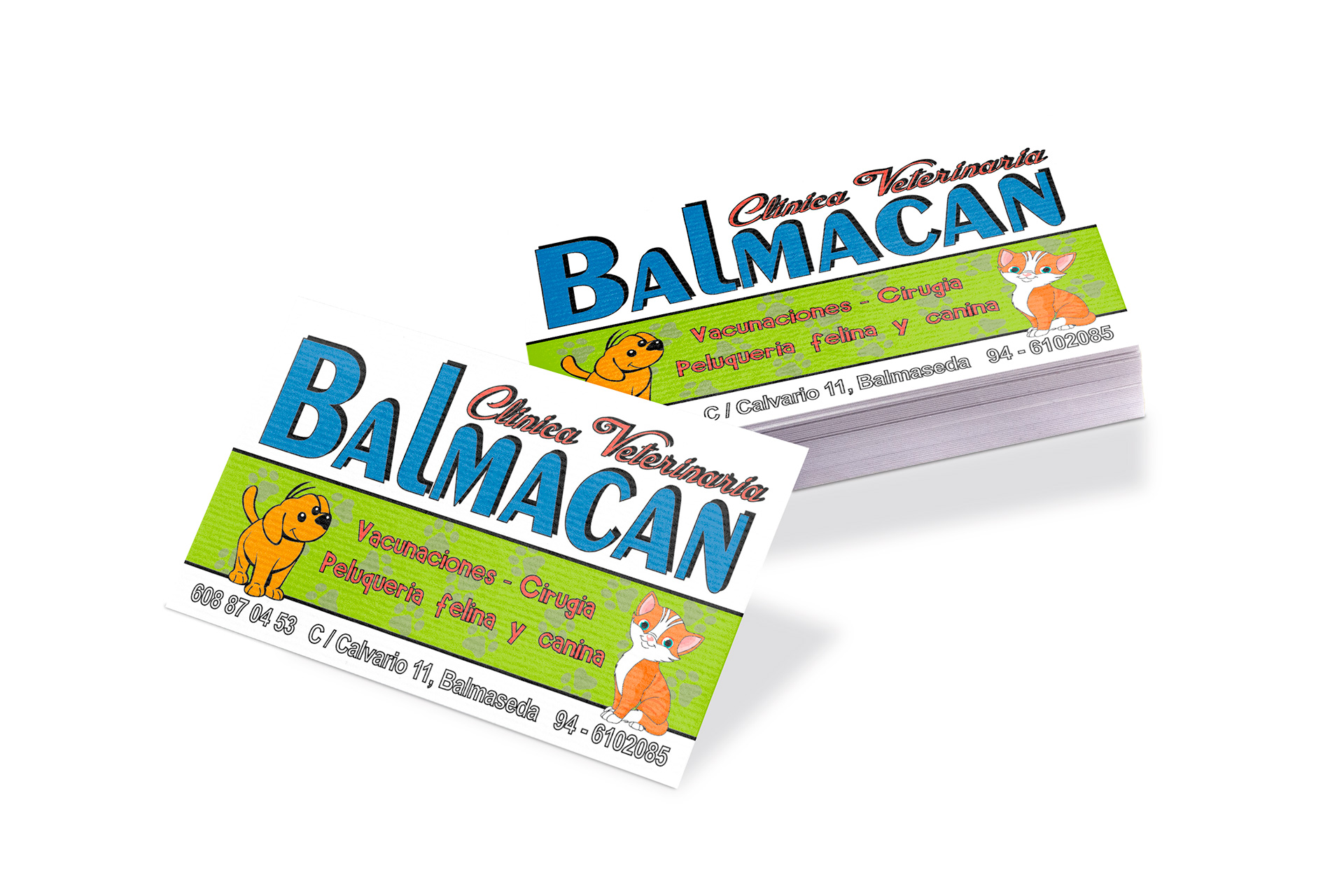 T_VISITA_BALMACAN