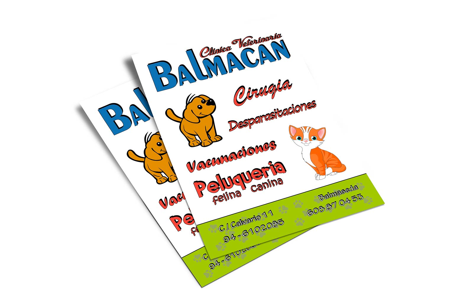 FLYER_BALMACAN