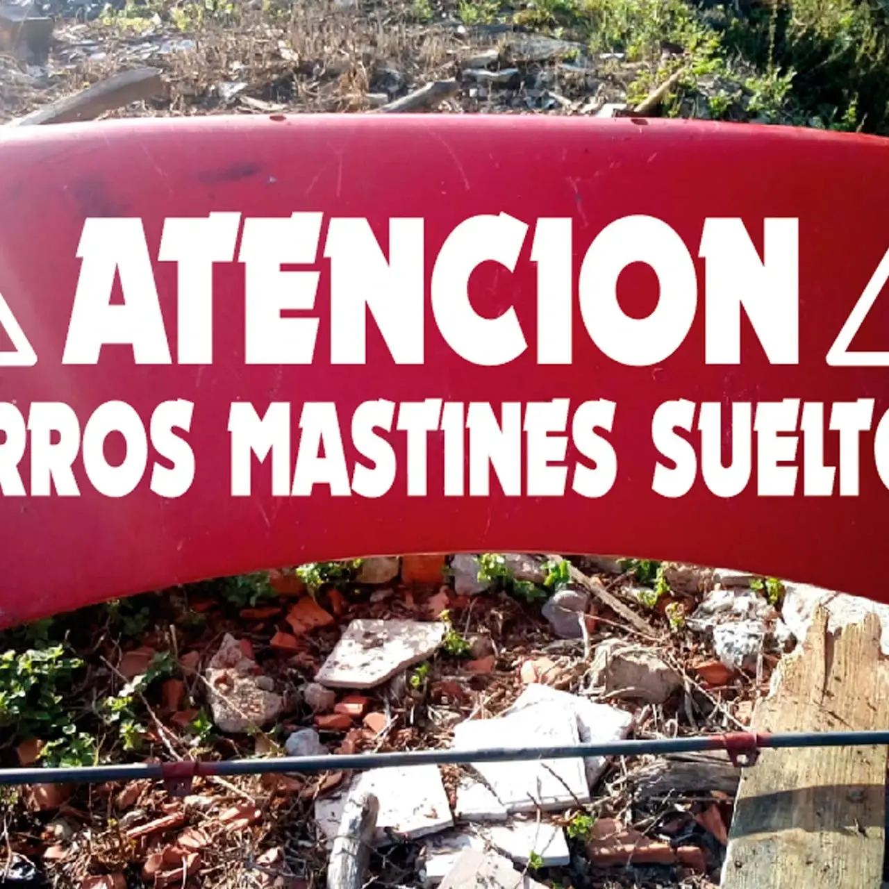 VINILO_ATENCION_PERROS_SUELTO